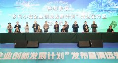 乡村小微企业创新发展计